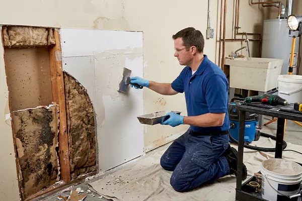 Mold and Drywall Repair Yorba Linda