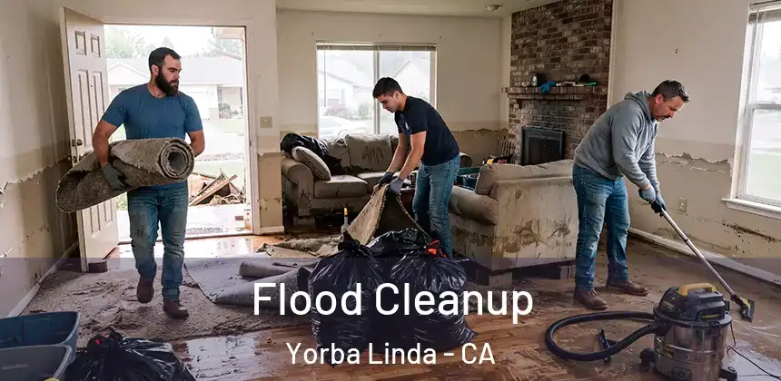  Flood Cleanup Yorba Linda - CA
