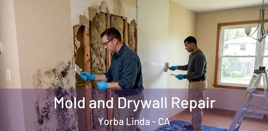 Mold and Drywall Repair Yorba Linda - CA
