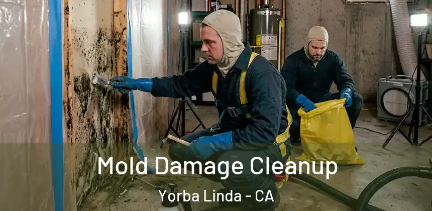 Mold Damage Cleanup Yorba Linda - CA