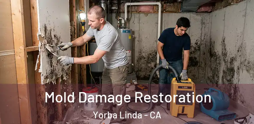 Mold Damage Restoration Yorba Linda - CA