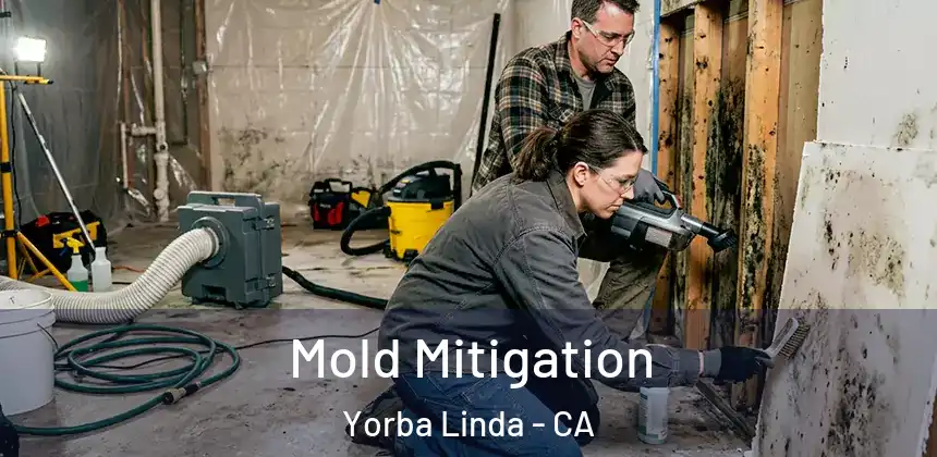  Mold Mitigation Yorba Linda - CA