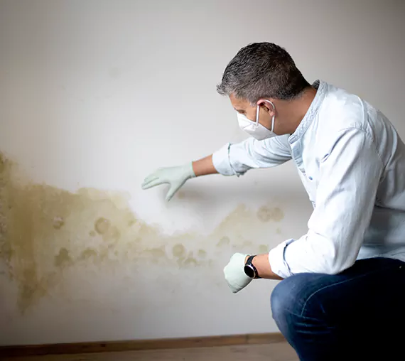 Mold Removal Service in Yorba Linda, CA