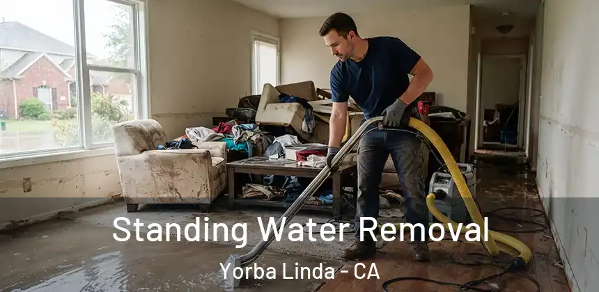 Standing Water Removal Yorba Linda - CA