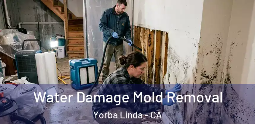 Water Damage Mold Removal Yorba Linda - CA