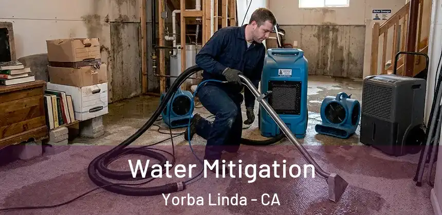  Water Mitigation Yorba Linda - CA