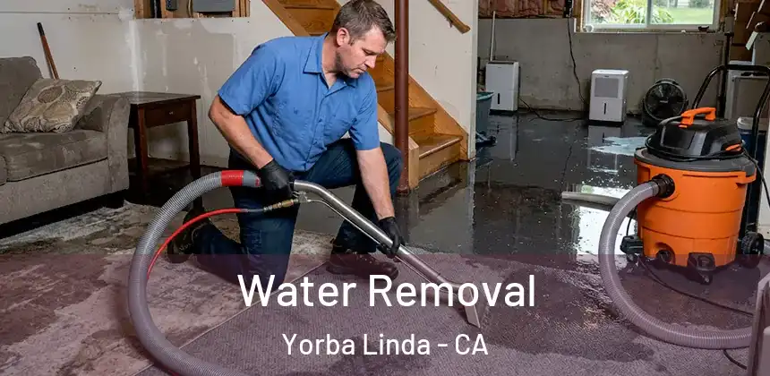 Water Removal Yorba Linda - CA